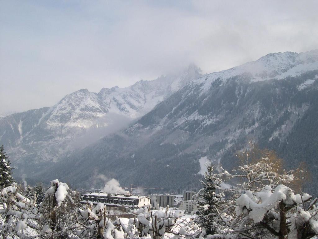 Studio Les Drus / Studio Du Brevent 샤모니 객실 사진